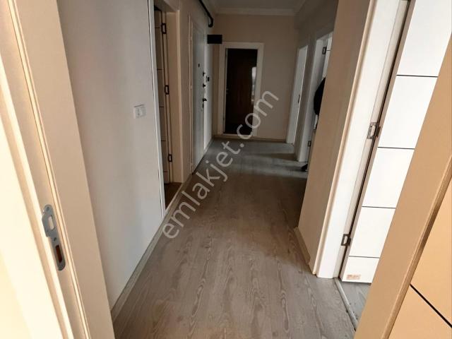 Iğdır Merkez, Iğdir içerisinde kiralık mülk