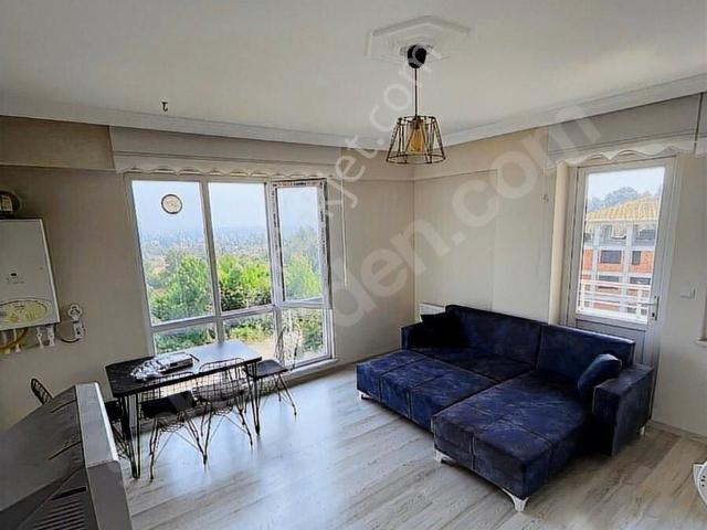 Düzce Merkez, Düzce içerisinde kiralık mülk