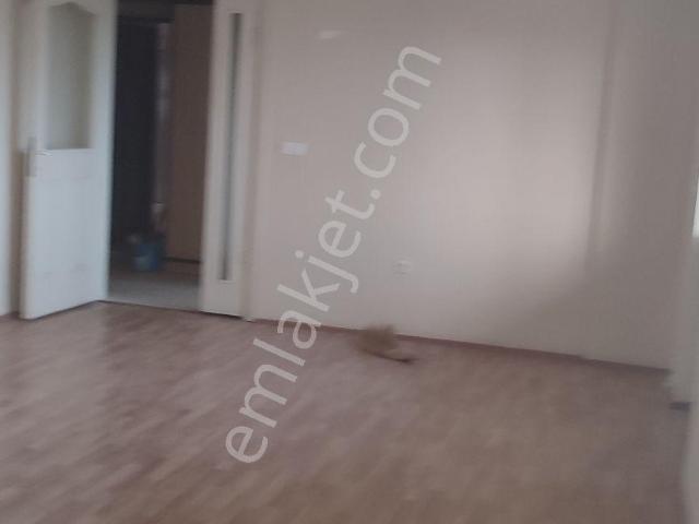 Seyhan, Adana içerisinde kiralık mülk