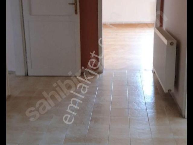İlkadim, Samsun içerisinde kiralık mülk