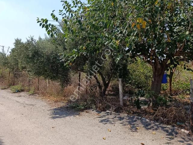 İmamoğlu, Adana içerisinde kiralık Villa