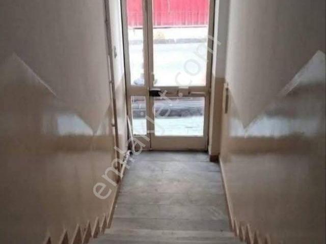 İstanbul Merkez, İstanbul içerisinde kiralık mülk