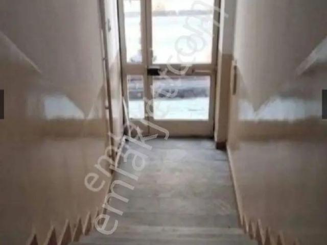 İstanbul Merkez, İstanbul içerisinde kiralık mülk