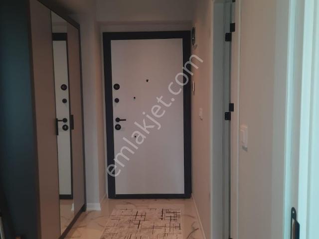 Bolu Merkez, Bolu içerisinde kiralık mülk