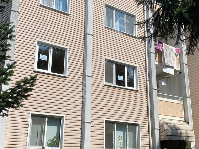 Düzce Merkez, Düzce içerisinde kiralık mülk