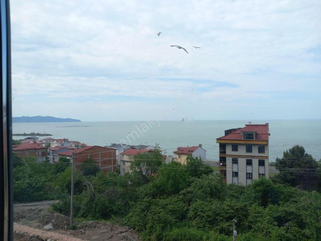 Ordu içerisinde satılık mülk