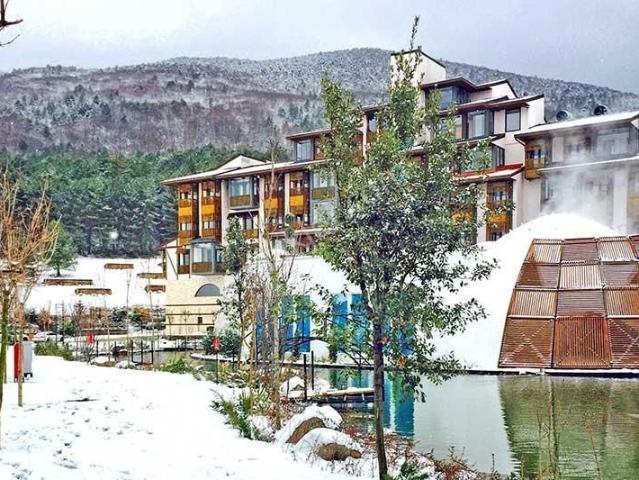 Demirciler, Bolu Merkez içerisinde kiralık mülk