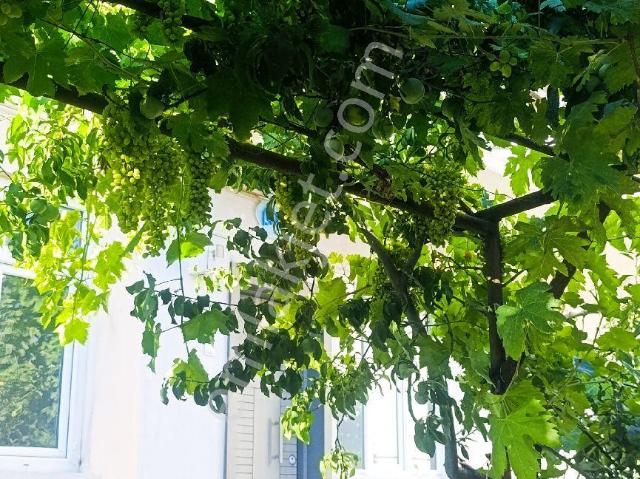 Pamukova, Sakarya içerisinde kiralık mülk