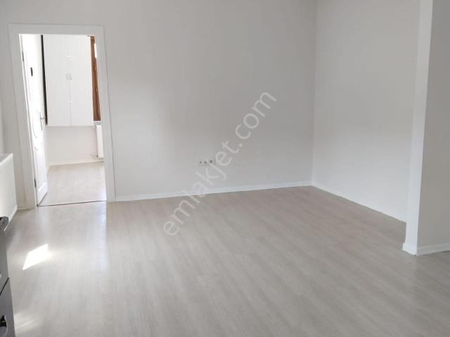 İstanbul Merkez, İstanbul içerisinde kiralık mülk
