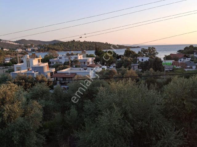 Milas, Muğla içerisinde kiralık mülk