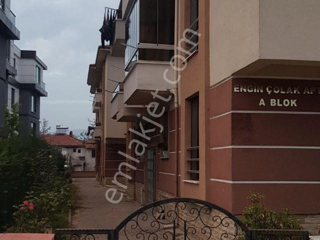 Düzce Merkez, Düzce içerisinde kiralık mülk