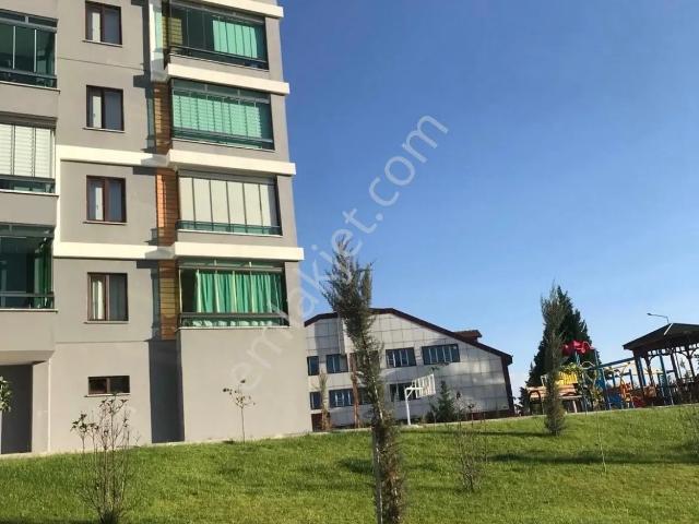 Üçtutlar Mahallesi, Çorum Merkez içerisinde kiralık mülk