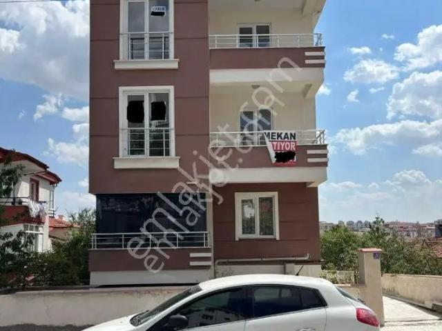 Çorum Merkez, Çorum içerisinde kiralık mülk