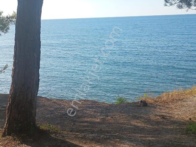 Cumhurıyet Mahallesi, Atakum içerisinde kiralık mülk