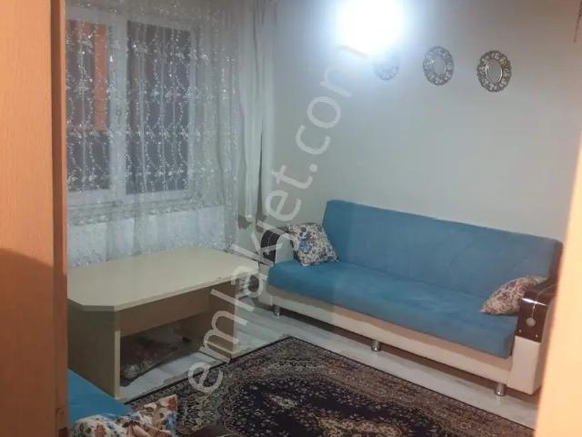 Mahsen, Merzifon içerisinde kiralık mülk