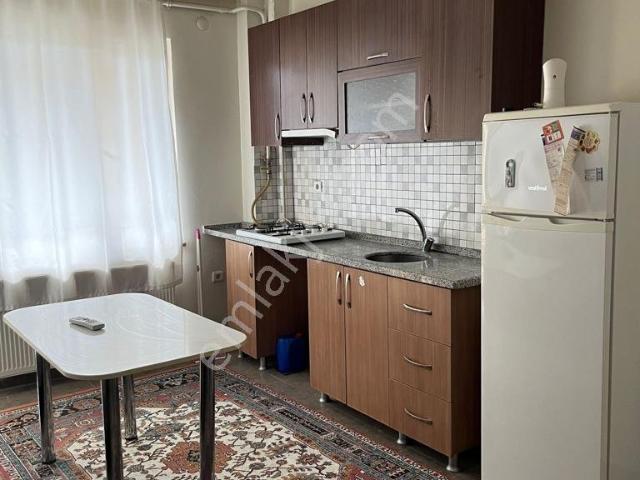 Edirne Merkez, Edirne içerisinde kiralık mülk
