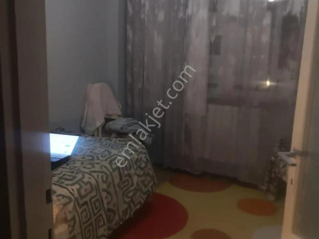 İstanbul Merkez, İstanbul içerisinde kiralık mülk