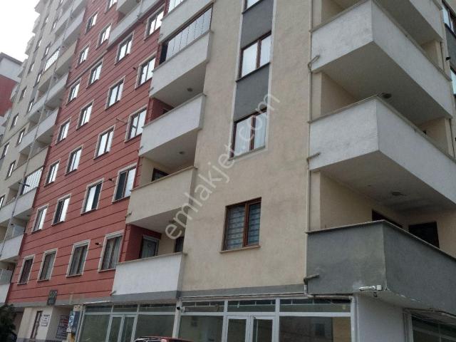 Zonguldak Merkez, Zonguldak içerisinde kiralık mülk