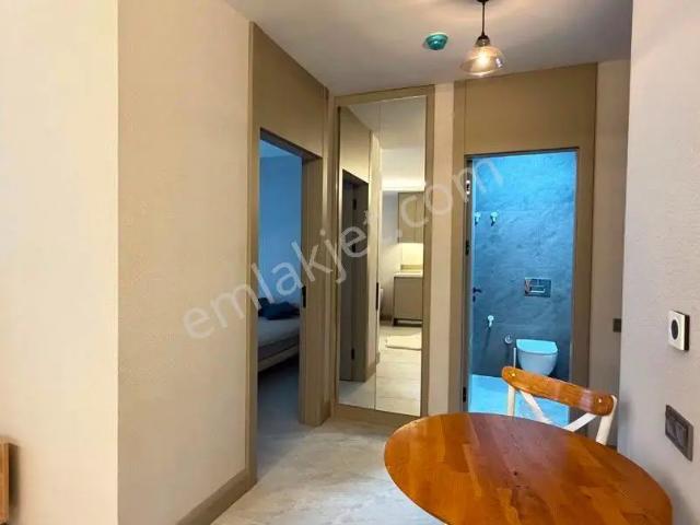İstanbul Merkez, İstanbul içerisinde kiralık mülk