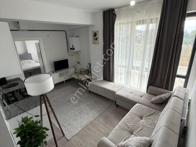 Düzce Merkez, Düzce içerisinde kiralık mülk
