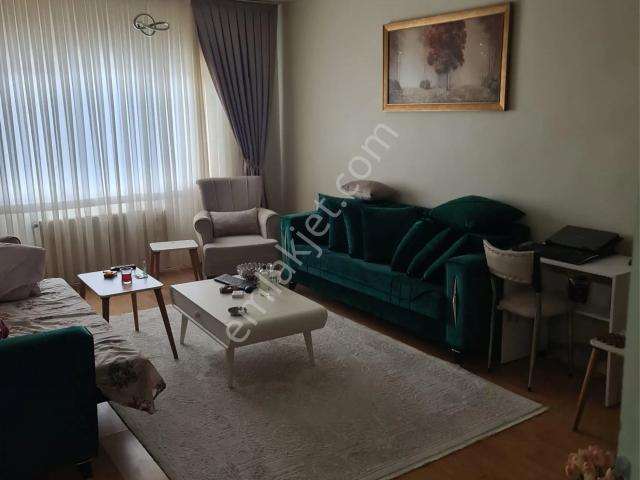 Düzce Merkez, Düzce içerisinde kiralık mülk