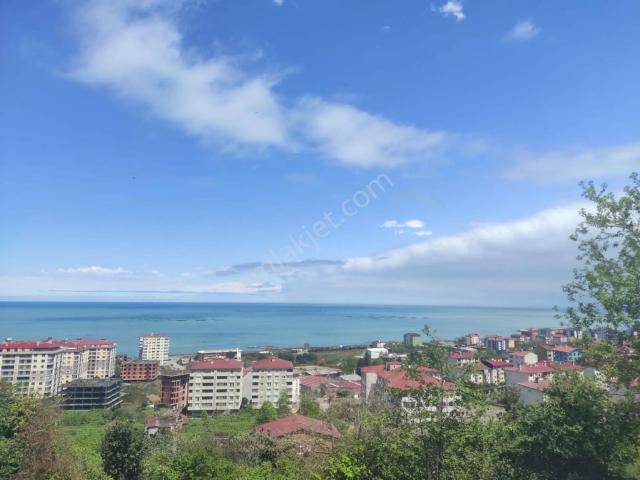 Arsin, Trabzon içerisinde satılık mülk