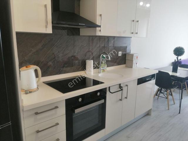 Düzce Merkez, Düzce içerisinde kiralık mülk