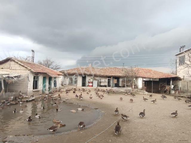 Hayrabolu, Tekirdağ içerisinde satılık Bahce kati