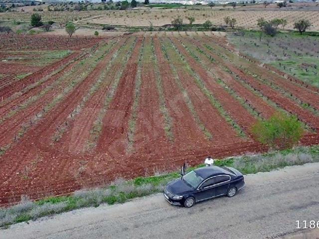 Çal, Denizli içerisinde satılık Arsa
