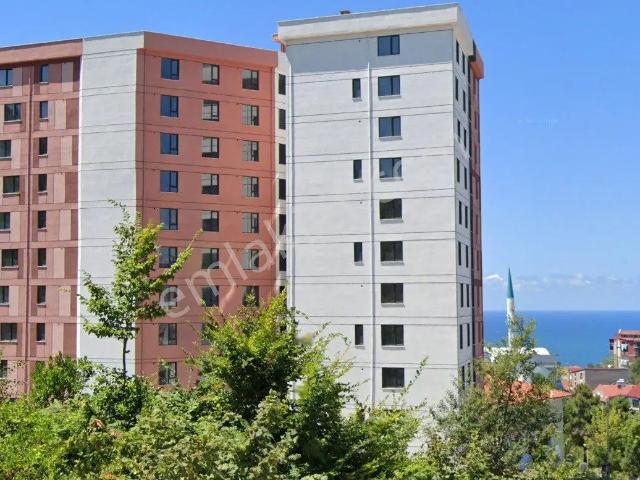 Taşbaca, Kozlu içerisinde kiralık mülk