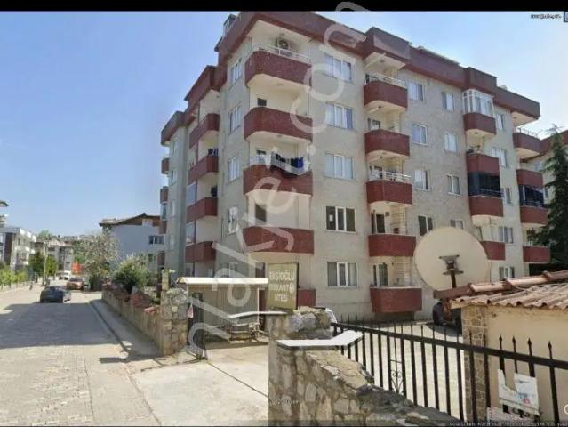 Yalova Merkez, Yalova içerisinde kiralık mülk