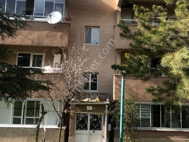 Odunpazari, Eskişehir içerisinde kiralık mülk