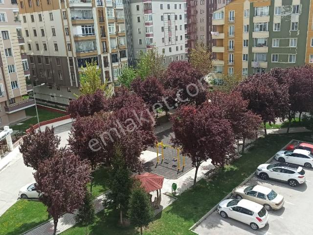 Çorum Merkez, Çorum içerisinde kiralık mülk