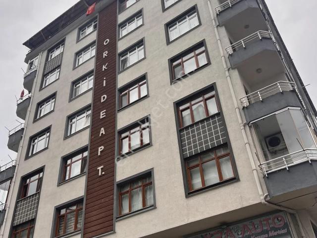 Rize içerisinde kiralık mülk
