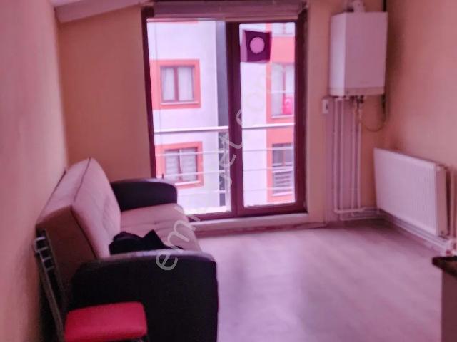 Zonguldak Merkez, Zonguldak içerisinde kiralık mülk