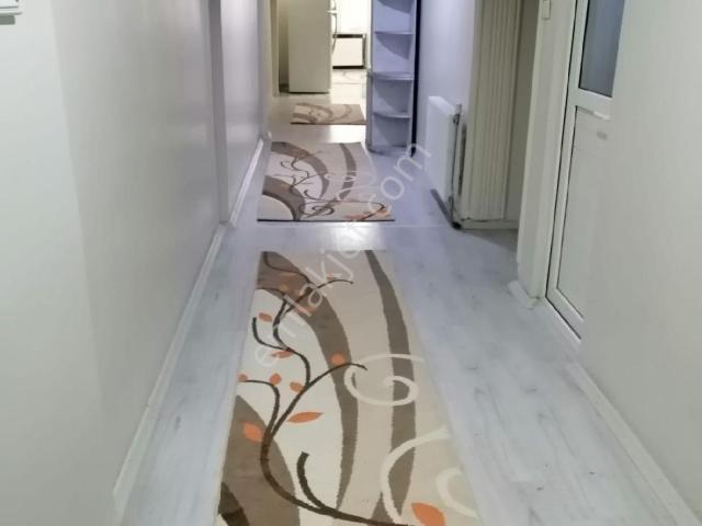 Siirt Merkez, Siirt içerisinde kiralık mülk