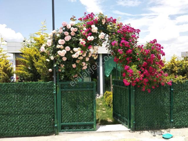 Olukpınar Mahallesi, Polatli içerisinde satılık Villa