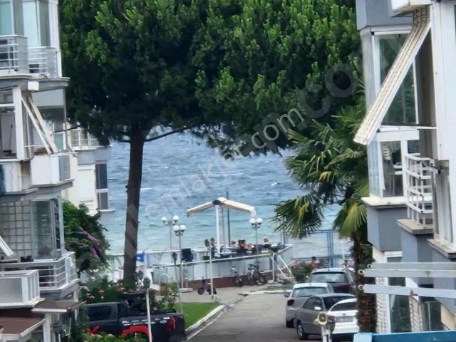 Yalova Belediye sınırı, Yalova Merkez içerisinde kiralık mülk
