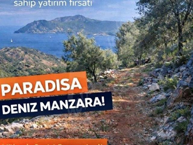 Dalaman, Muğla içerisinde satılık mülk