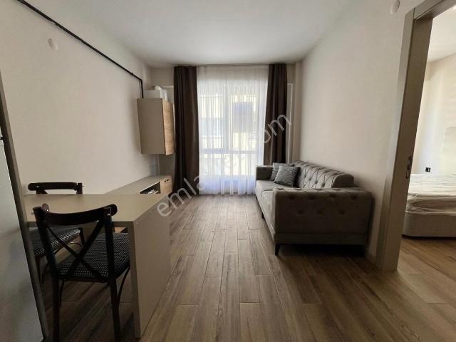 Edirne Merkez, Edirne içerisinde kiralık mülk