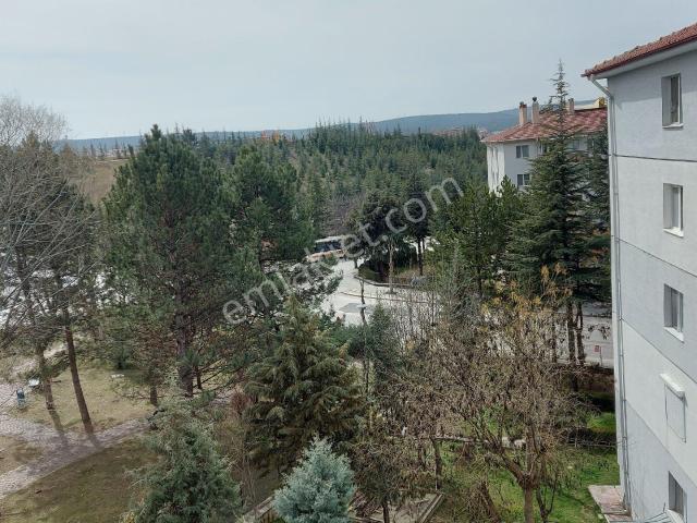Odunpazari, Eskişehir içerisinde kiralık mülk