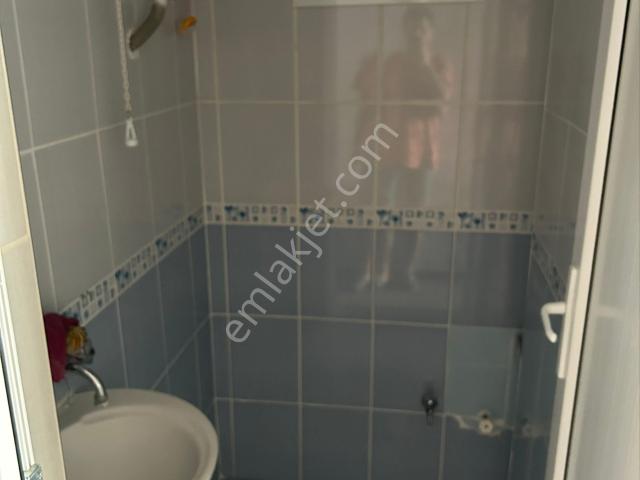 Nazilli, Aydin içerisinde kiralık mülk