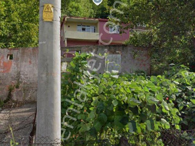 Zonguldak Merkez, Zonguldak içerisinde satılık mülk