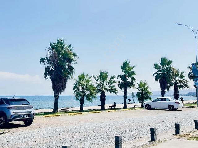 Atakum, Samsun içerisinde kiralık mülk