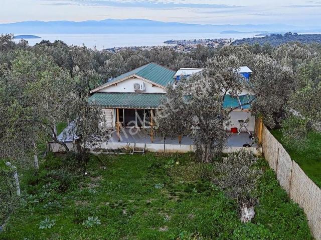 Ayvalik, Balikesir içerisinde kiralık Villa