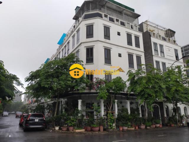 Biệt Thự bán