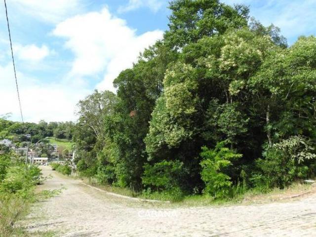 Terreno venda em Região Geográfica Imediata de Caxias do Sul, Caxias do Sul