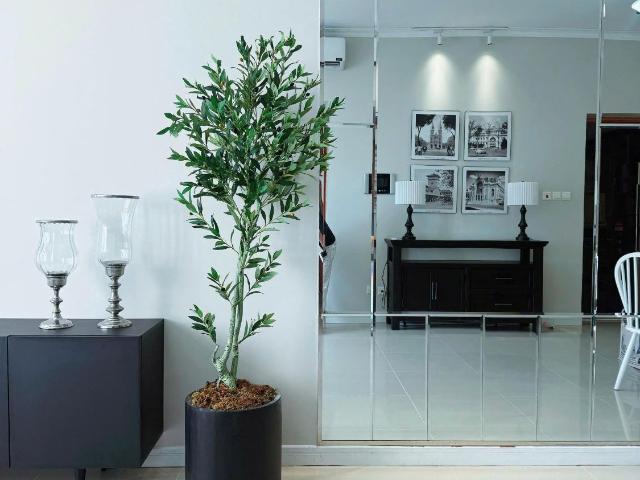 Căn hộ cho thuê tại Thủ Đức, Hồ Chí Minh