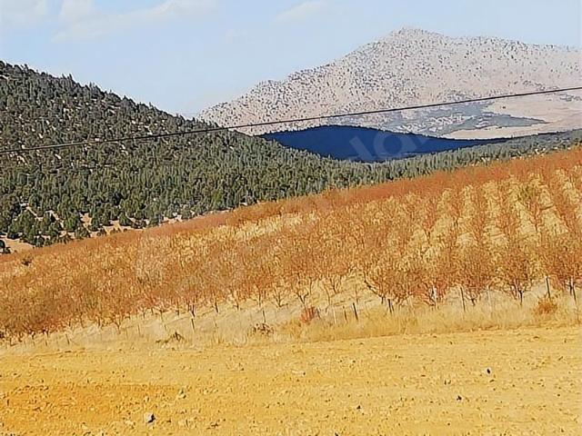 Saimbeyli, Adana içerisinde satılık mülk