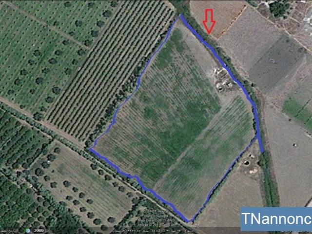 Terrain location